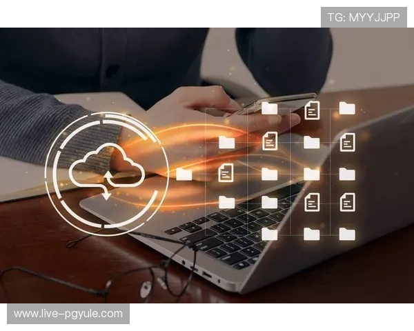 在DG视讯平台如何高效管理账户安全保障个人信息安全 在DG视讯平台如何高效管理账户安全保障个人信息安全