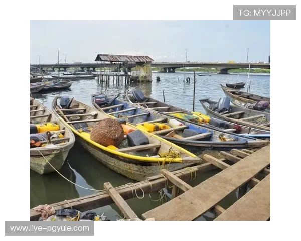 官方地址更新公告,及时掌握ag捕鱼图最新入口信息 官方地址更新公告,及时掌握ag捕鱼图最新入口信息