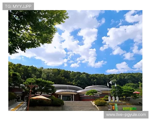 详解AG亚L游国际平台的注册流程、充值方式及客户服务保障措施