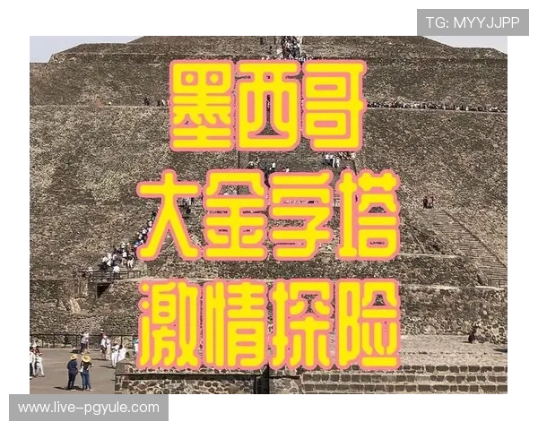世界杯墨西哥对韩国比赛球票购买时间及购票流程详细指南